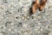 Loloi Beatty BEA-04 LIGHT BLUE / MULTI Room Scene