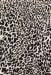 Loloi Masai MAS-02 Black / Ivory 2'-6" x 7'-6" Collection
