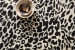 Loloi Masai MAS-02 Black / Ivory 2'-6" x 7'-6" Room Scene