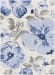 Surya Harput Hap-1136 Collection
