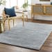 Surya Prague Pgu-4003 2'6" x 8'0" Runner Room Scene