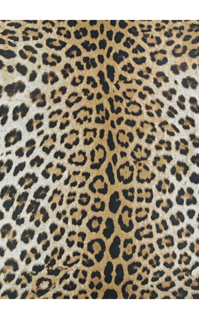 Couristan Dolce Amur Leopard New Gold | Rug Studio