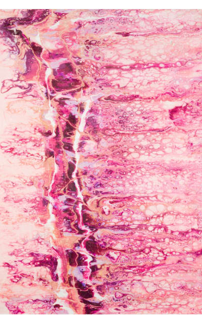 Kikiamo Kk16 Flamingo Area Rug