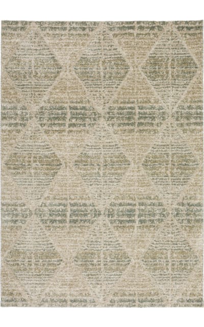 Carmona Co8 Mist Area Rug