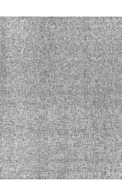Exquisite Rugs Caprice 4765 Black-Ivory Area Rug
