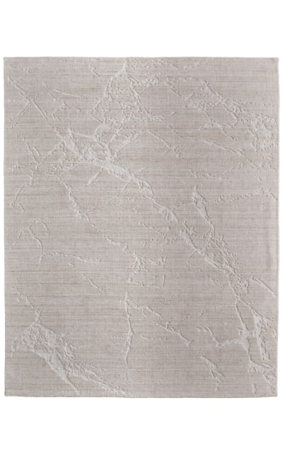 Aldrich T8019 Beige Area Rug