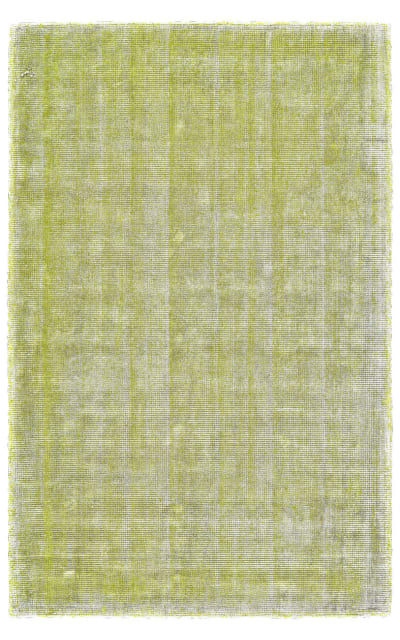 Feizy Landon 8088f Lime Area Rug