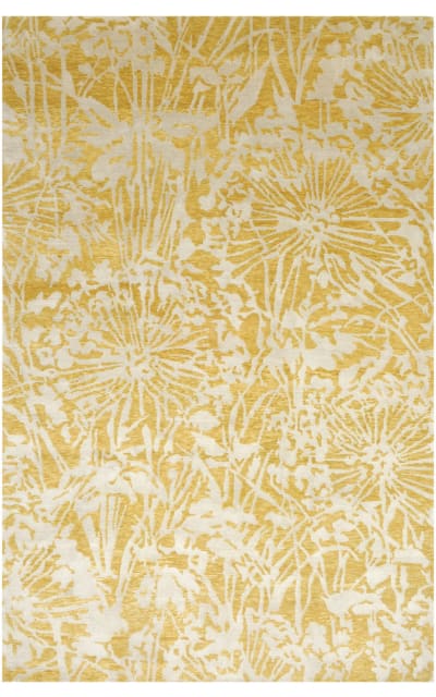 Jaipur Living Earth Dandelion Er17 Golden Apricot Area Rug Last Chance