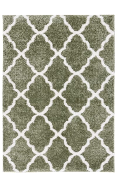 Tahoe Shag THO675W Sage - White Area Rug