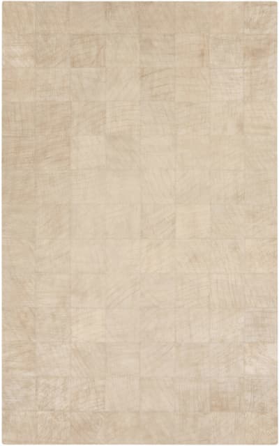 Sample Sale 111648R Area Rug Last Chance