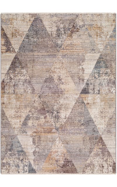 Sample Sale 248185R Area Rug Last Chance