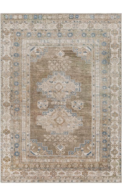 Colin CLN-2303 Area Rug