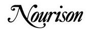 Nourison Rugs