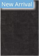 Jaipur Living Calix By Nikki Chu Ziazan Cnu04 Black Area Rug