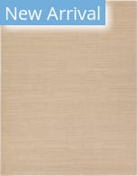 Jaipur Living Tepore Venue Tep03 Tan Area Rug