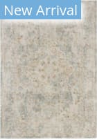 Karastan Windemere Ashbourne Blue Area Rug