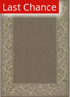 Rugstudio Sample Sale 172894 Brown - Cream Area Rug