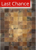 Rugstudio Sample Sale 172605R Brown Area Rug