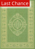 Rugstudio Sample Sale 173246R Green - Natural Area Rug