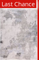 Rugstudio Sample Sale 210609 Gray Area Rug