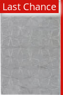 Rugstudio Sample Sale 169724R Paloma - Dark Gull Gray Area Rug