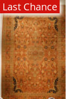 J. Aziz Haj Jalili V-1668 BROWN Area Rug