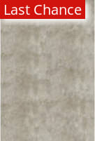 Rugstudio Sample Sale 161405R Champagne Area Rug