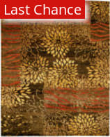 Rugstudio Sample Sale Brown 8 X 10 Rug