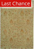 Rugstudio Sample Sale 47141R Beige / Rust Area Rug