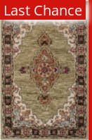 Rugstudio Sample Sale 192537 Sage - Brown Area Rug