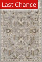 Rugstudio Sample Sale 166147 Light Grey - Multi Area Rug