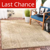 Rugstudio Sample Sale 98749R Brown / Natural Area Rug