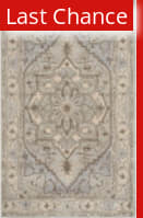 Rugstudio Sample Sale 126801R Beige - Grey Area Rug