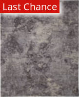 Rugstudio Sample Sale 148982R Gray Area Rug