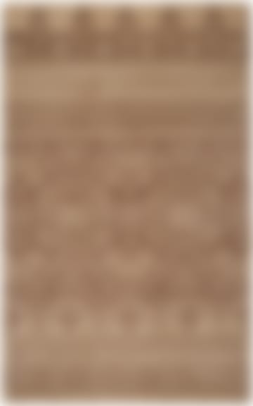 Safavieh Adirondack ADR107C Camel - Chocolate | Rug Studio