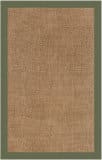 Capel Islamorada Basketweave 2085 Canvas Fern Area Rug