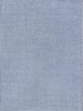 Exquisite Rugs Bali Flatweave 4980 Light Blue Area Rug