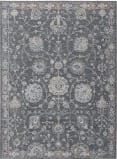 Feizy Thackery 39cxf Charcoal - Gray Area Rug