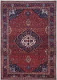 Feizy Rawlins 39hdf Red - Navy Area Rug