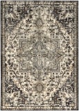 Karastan Tempest Perception Midnight Area Rug