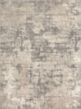 Karastan Epiphany Agusti Frost Grey Area Rug