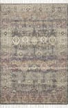 Loloi Cornelia Cor-04 Multi Area Rug