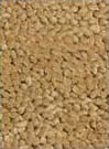 Loloi Frankie FK-01 Beige Area Rug