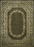 Nourison Chambord CM-13 Brown Area Rug