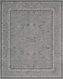 Nourison Heritage Hall He29 Steel Area Rug