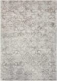 Nourison Ki26 Desert Skies Dsk03 Grey Area Rug