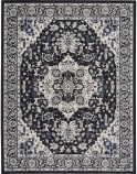 Nourison Passion PSN33 Black Ivory Area Rug