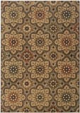 Oriental Weavers Kasbah 3808C  Area Rug