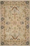 Safavieh Anatolia AN585B Ivory - Beige Area Rug