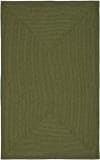 Safavieh Braided BRD315A Green Area Rug